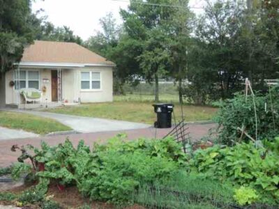 Homeowners Cited for Illegal Gardening: Orlando Couple Fight for the Right to Grow Food Image